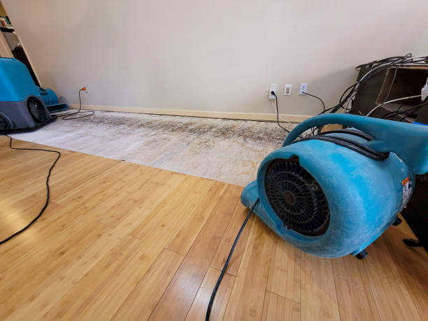 Professional Structural Drying technician working in New Market, VA